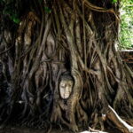 From Bangkok: Iconic Ayutthaya Tour By Rail, Road, and River - Final Thoughts: Why Choose This Tour?