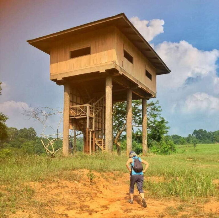 From Bangkok: Khao Yai National Park Small-Group Day Trip - In-Depth Itinerary Breakdown