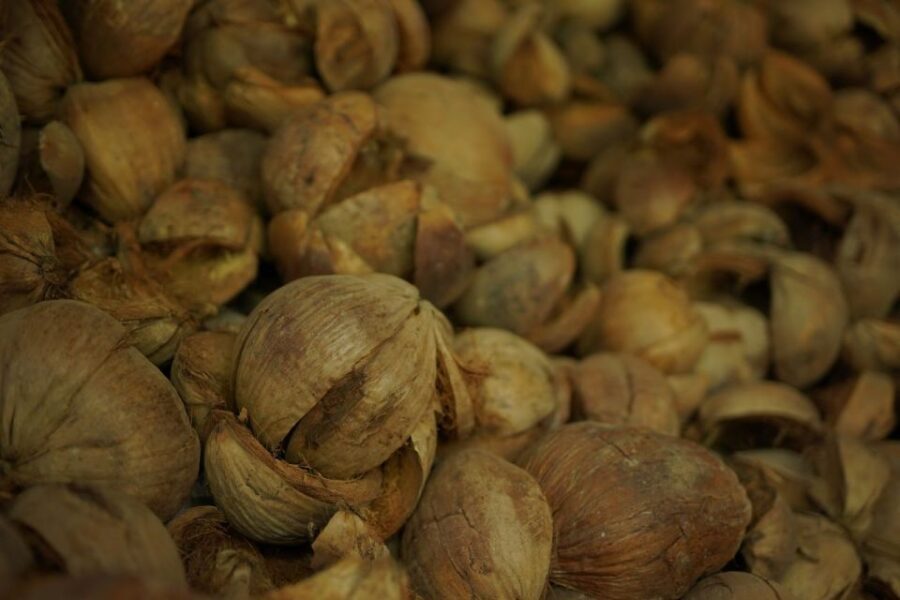 From Bangkok: Thaka Floating Market - Exploring the Itinerary: What You Can Expect