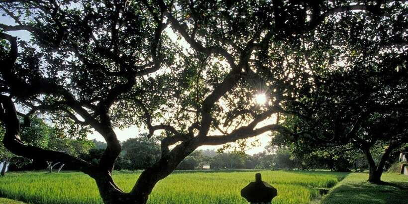 From Bentota/Beruwala: Lunuganga & Brief Garden Marvels Tour - Exploring the Highlights