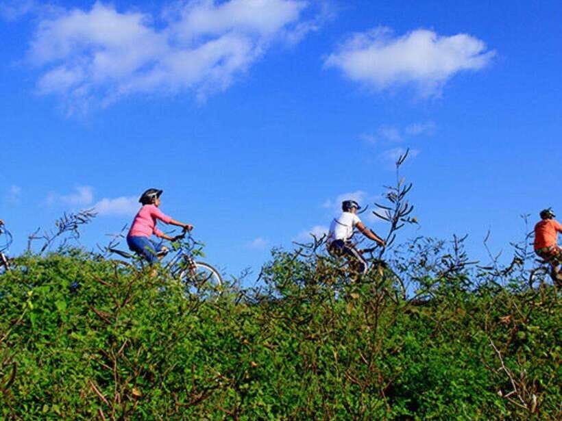 From Bentota/ Beruwala: Scenic Countryside Cycling Adventure - Exploring Sri Lanka on Two Wheels: A Practical Breakdown