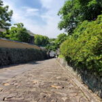 From Beppu: Kitsuki Castle Town and Samurai Heritage Tour - Who Should Consider This Tour?