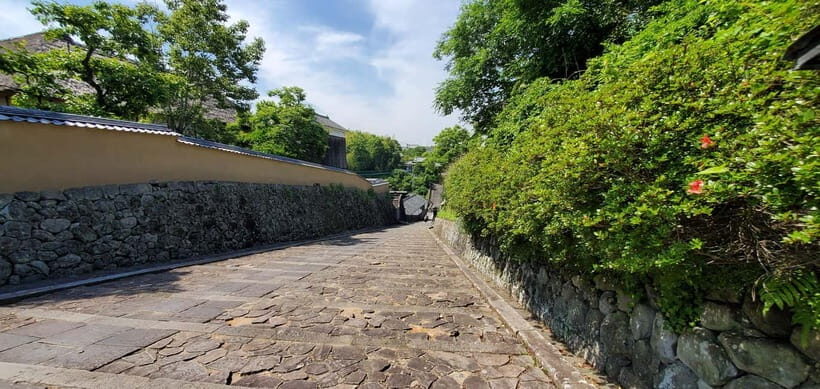 From Beppu: Kitsuki Castle Town and Samurai Heritage Tour - Who Should Consider This Tour?