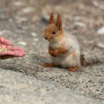 From Bishkek : Adventures to Ala Archa National Park - FAQ