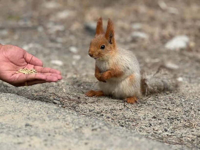 From Bishkek : Adventures to Ala Archa National Park - FAQ