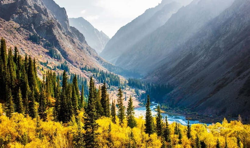 From Bishkek: Half-Day Excursion to Ala-Archa National Park - Why This Tour Is a Great Choice