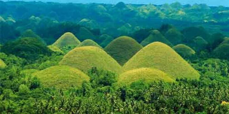 From Bohol: Full-Day Countryside Tour - Who Should Consider This Tour?