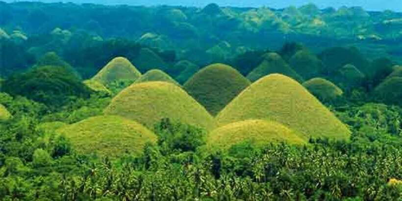 From Bohol: Full-Day Countryside Tour - Who Should Consider This Tour?