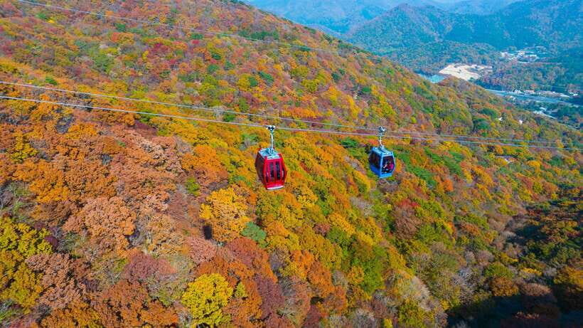 From Busan: Enchanting Oedo Island Day Tour with Windy Hill - The Experience in Context