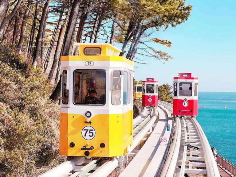 From Busan: Gyeongju Historical Day Tour with Sky Capsule - Who Will Love This Tour?