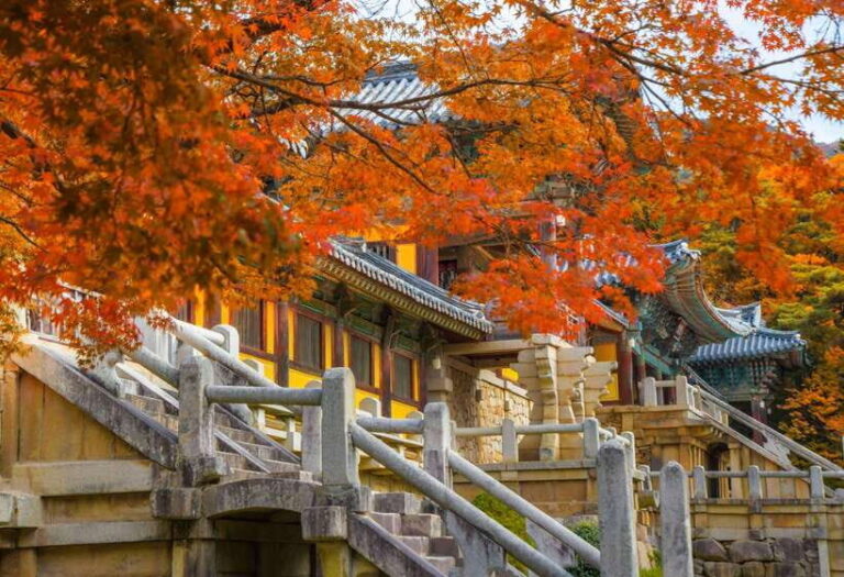 From Busan: Gyeongju UNESCO World Heritage Guided Day Tour - A Deep Dive into the Gyeongju Day Tour