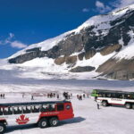 From CalgaryColumbia Icefield, Peyto & Bow Lakes Day Trip - What Travelers Are Saying