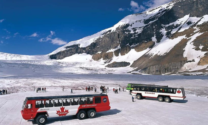 From CalgaryColumbia Icefield, Peyto & Bow Lakes Day Trip - What Travelers Are Saying