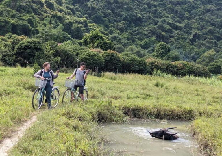 From Cat Ba: Day Trip Explore Lan Ha Bay & Viet Hai Village - Exploring the Day Trip: A Full Breakdown