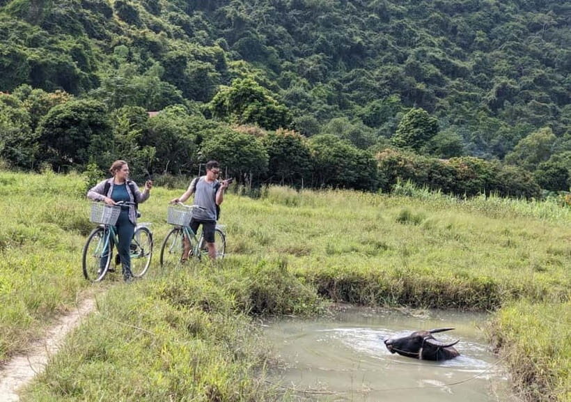 From Cat Ba: Day Trip Explore Lan Ha Bay & Viet Hai Village - Exploring the Day Trip: A Full Breakdown