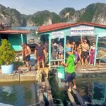 From Cat Ba island: full day boat tour to Lan Ha bay - Ha Long bay - Final Thoughts