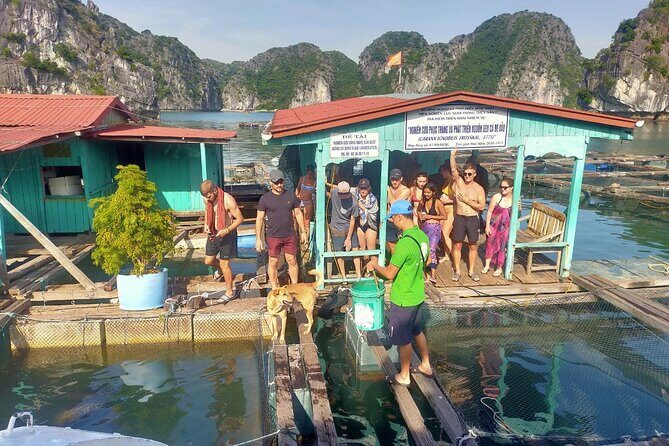 From Cat Ba island: full day boat tour to Lan Ha bay - Ha Long bay - Final Thoughts