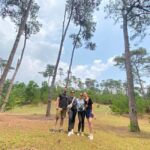 From Cat Ba to Ha Giang Loop Tour 3D/2N with Strawberry - Practical Tips for the Trip