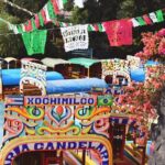 From cdmx: Tour in Coyoacan and Xochimilco all inclusive - Practical Tips