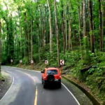 From Cebu: Bohol Countryside & Buffet Lunch Exclusive Tour - Transportation and Comfort