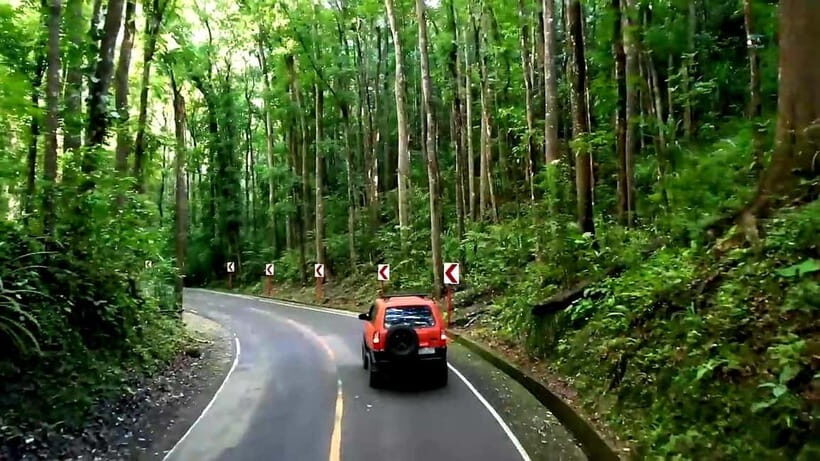 From Cebu: Bohol Countryside & Buffet Lunch Exclusive Tour - Transportation and Comfort
