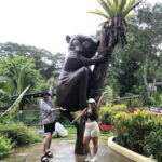 From Cebu: Bohol Countryside Tour Day Trip with Buffet Lunch - Who Will Appreciate This Tour?