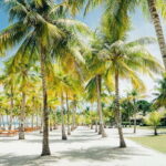 From Cebu: Day Trip to Bohol Highlights - What Makes This Tour Valuable