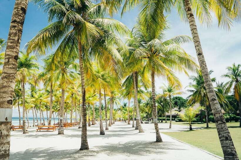 From Cebu: Day Trip to Bohol Highlights - What Makes This Tour Valuable