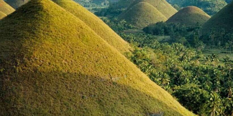 From Cebu: Full-Day Bohol Excursion - FAQ