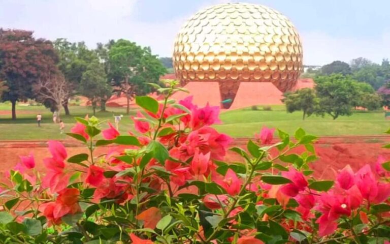 From Chennai: Private Pondicherry & Auroville Day Tour - Who Is This Tour Best For?