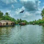 From Cochin: Alleppey Houseboat Day Tour with Lunch - The Experience: A Deep Dive Into the Day