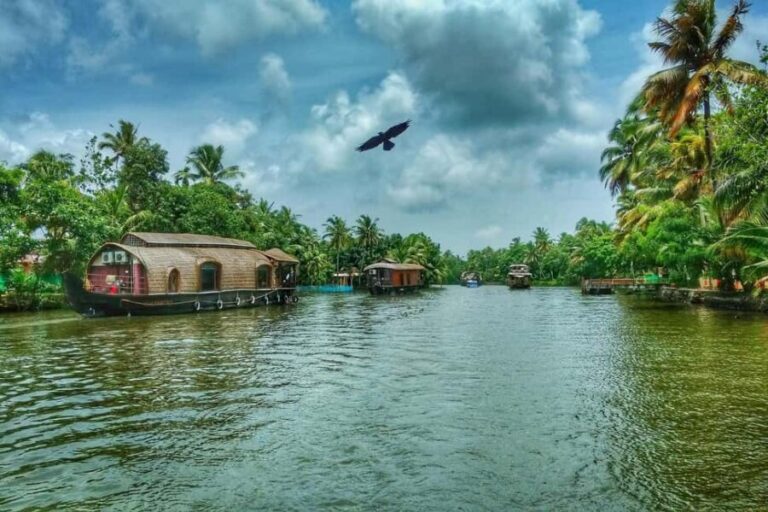 From Cochin: Alleppey Houseboat Day Tour with Lunch - The Experience: A Deep Dive Into the Day