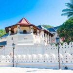 From Colombo - Day Trip to Kandy/ Pinnwala/ Royal Gardens - A Deep Dive into the Experience