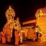 From Colombo : Day Trip to Kandy/ Pinnwala/ Royal Gardens - How the Day Unfolds: A Typical Timeline