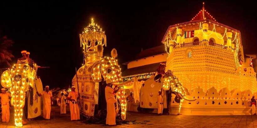 From Colombo : Day Trip to Kandy/ Pinnwala/ Royal Gardens - How the Day Unfolds: A Typical Timeline