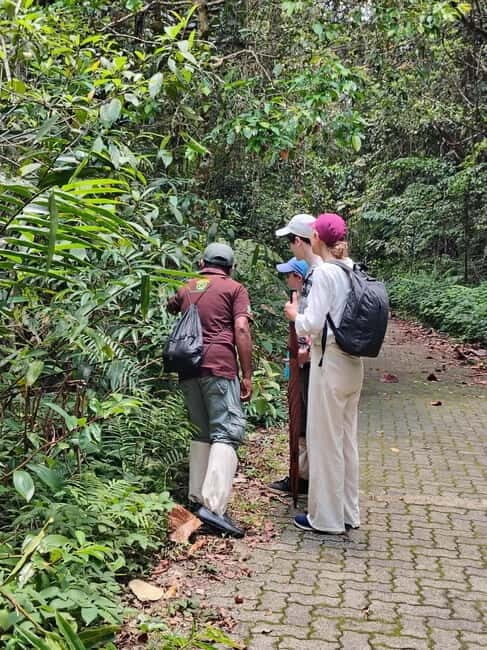 From Colombo/Kalutara: Full-Day Sinharaja Guided Eco Trek - Practical Details