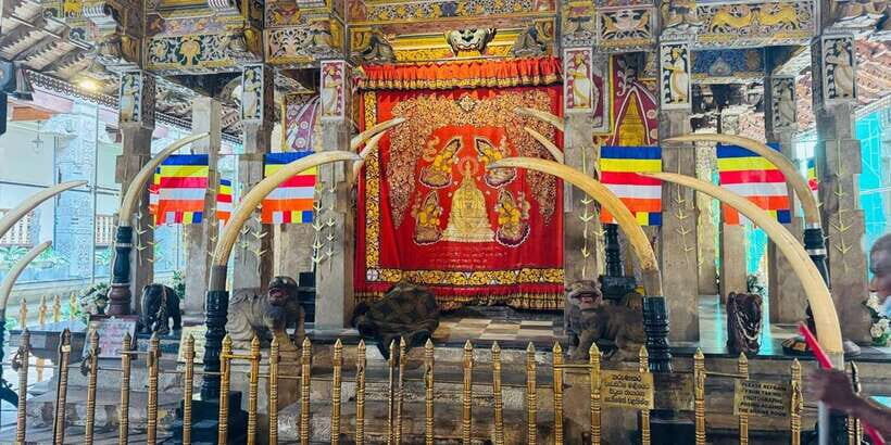 From Colombo: Kandy and Pinnawala Full-Day Trip - Practical Tips & Considerations