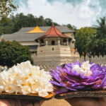 From Colombo: Kandy and Pinnawala Orphanage Short Excursions - The Sum Up: Who Should Consider This Tour?