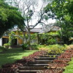 From Colombo/ Negombo: Lunuganga & Brief Garden Odyssey - In Summary