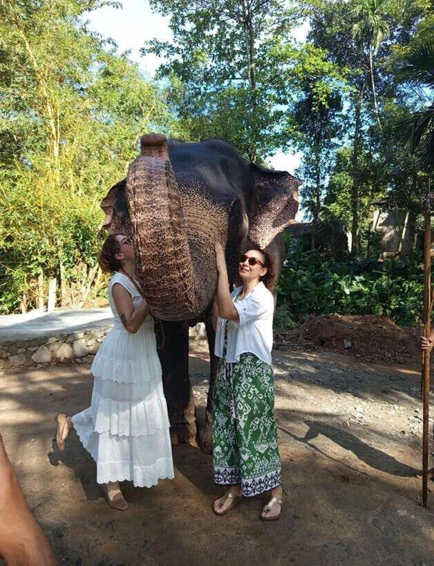 From Colombo or Negombo: Pinnawala, Kandy & Tea Factory Tour - Practical Details You Need to Know