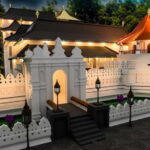 From Colombo: Pinnawala & Tea factory with Kandy Hotel Drop - What You Can Expect on This Tour