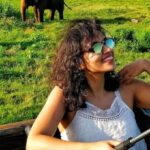 From Colombo: Private Minneriya National Park Day Safari - Who Would Love This Tour?