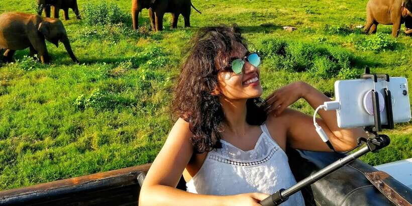 From Colombo: Private Minneriya National Park Day Safari - Who Would Love This Tour?