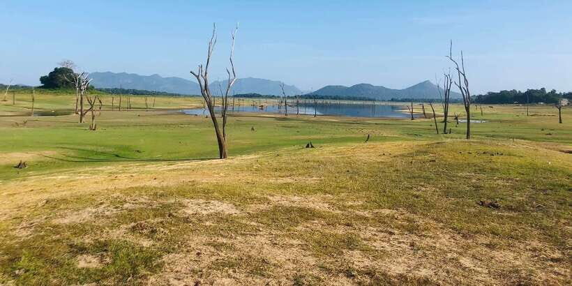 From Colombo: Sigiriya and Dambulla Day Trip - An In-Depth Look at the Tour Experience