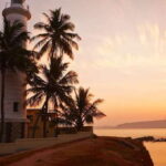 From Colombo: Virgin White Tea and Galle City Tour - A Deep Dive into the Experience
