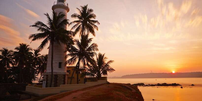 From Colombo: Virgin White Tea and Galle City Tour - A Deep Dive into the Experience