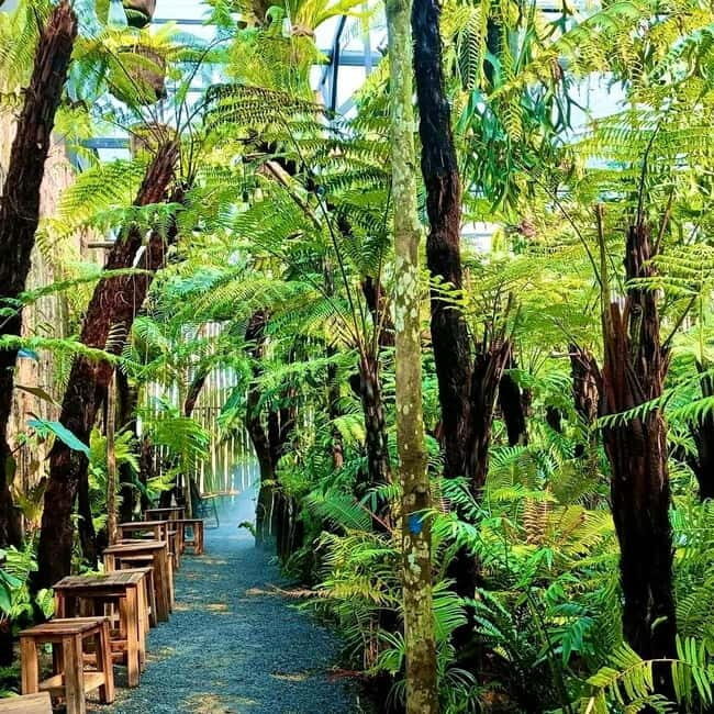 from Da Nang: Hoi An Instagram Cafe Tour with Rooftop View - A Complete Look at the Hoi An Instagram Cafe Tour