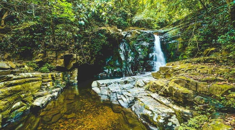 From Da Nang/Hue: Bach Ma National Park Day Trip - Final Thoughts: Is This Tour for You?