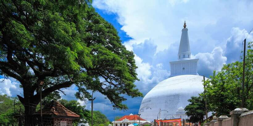 From Dambulla: Sacred City of Anuradhapura Private Day Tour - The Transition to Mihintale