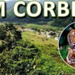 From Delhi: 3-Day Wildlife Trip to Jim Corbett National Park - Exploring the 3-Day Jim Corbett Wildlife Trip